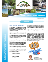 BM_juillet_N°13 – 2025